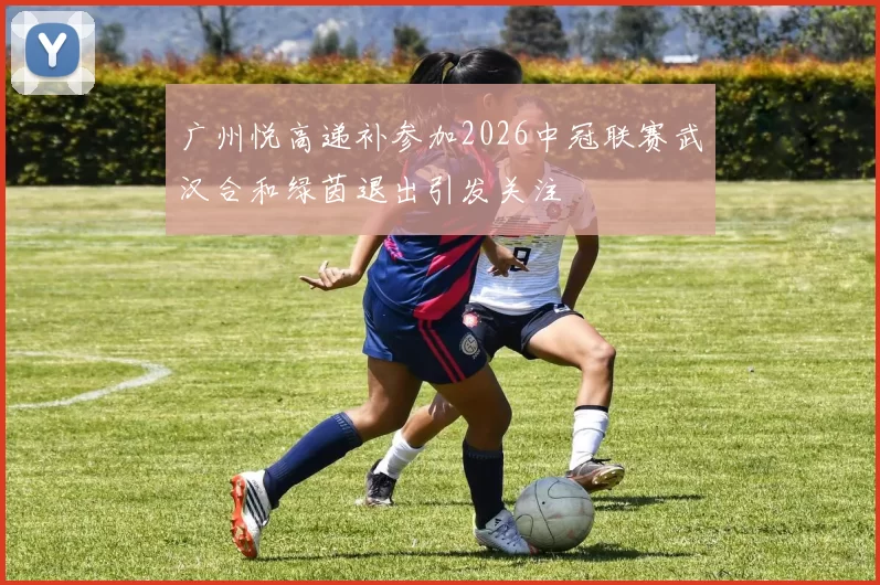 广州悦高递补参加2026中冠联赛武汉合和绿茵退出引发关注